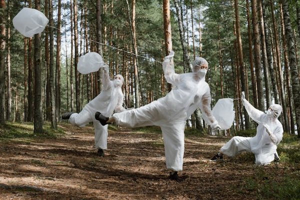 Comment un jeu de simulation de gestion de la pollution lumineuse peut-il sensibiliser aux impacts sur la faune nocturne?